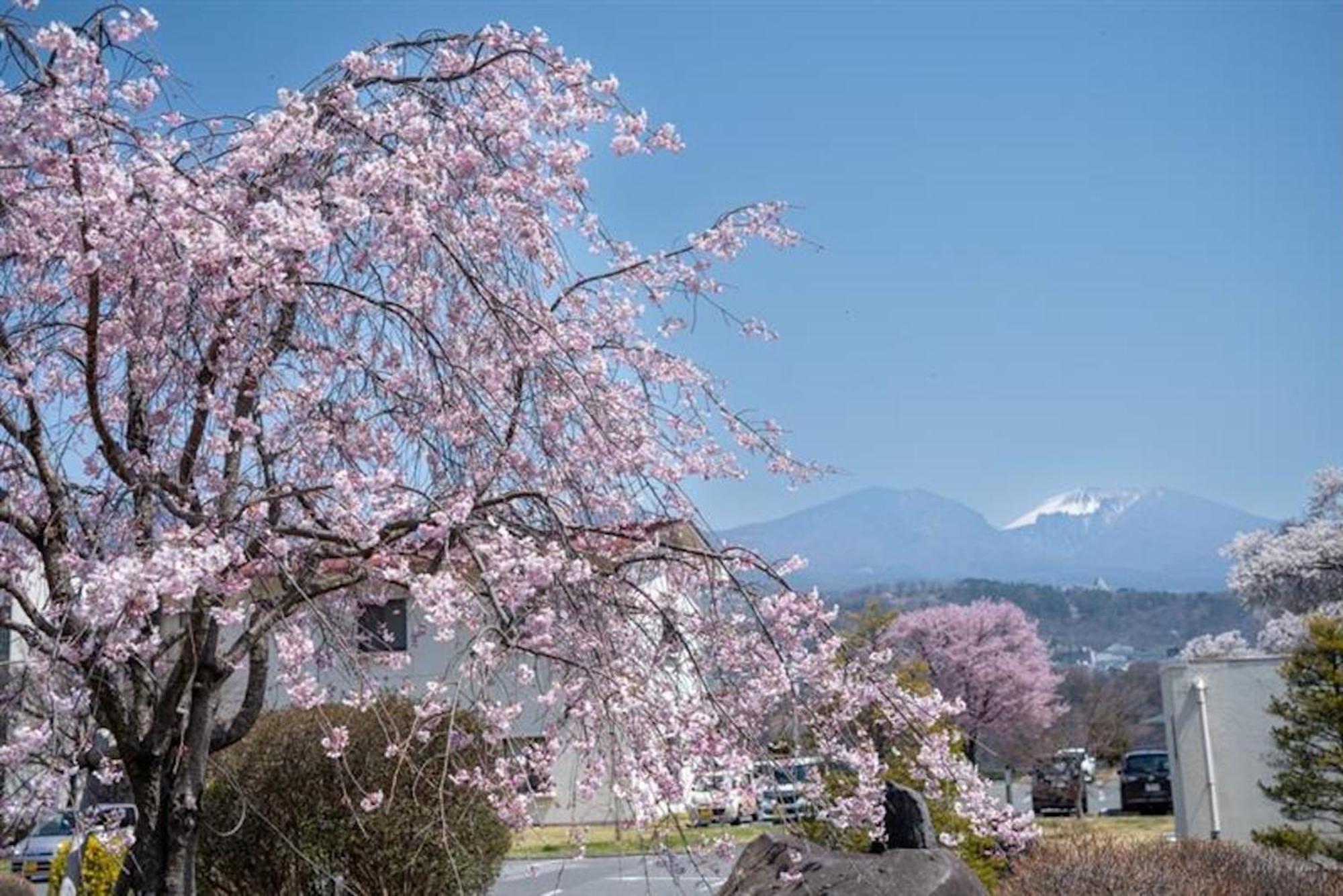 Nunohiki Onsen Komoro Exteriér fotografie