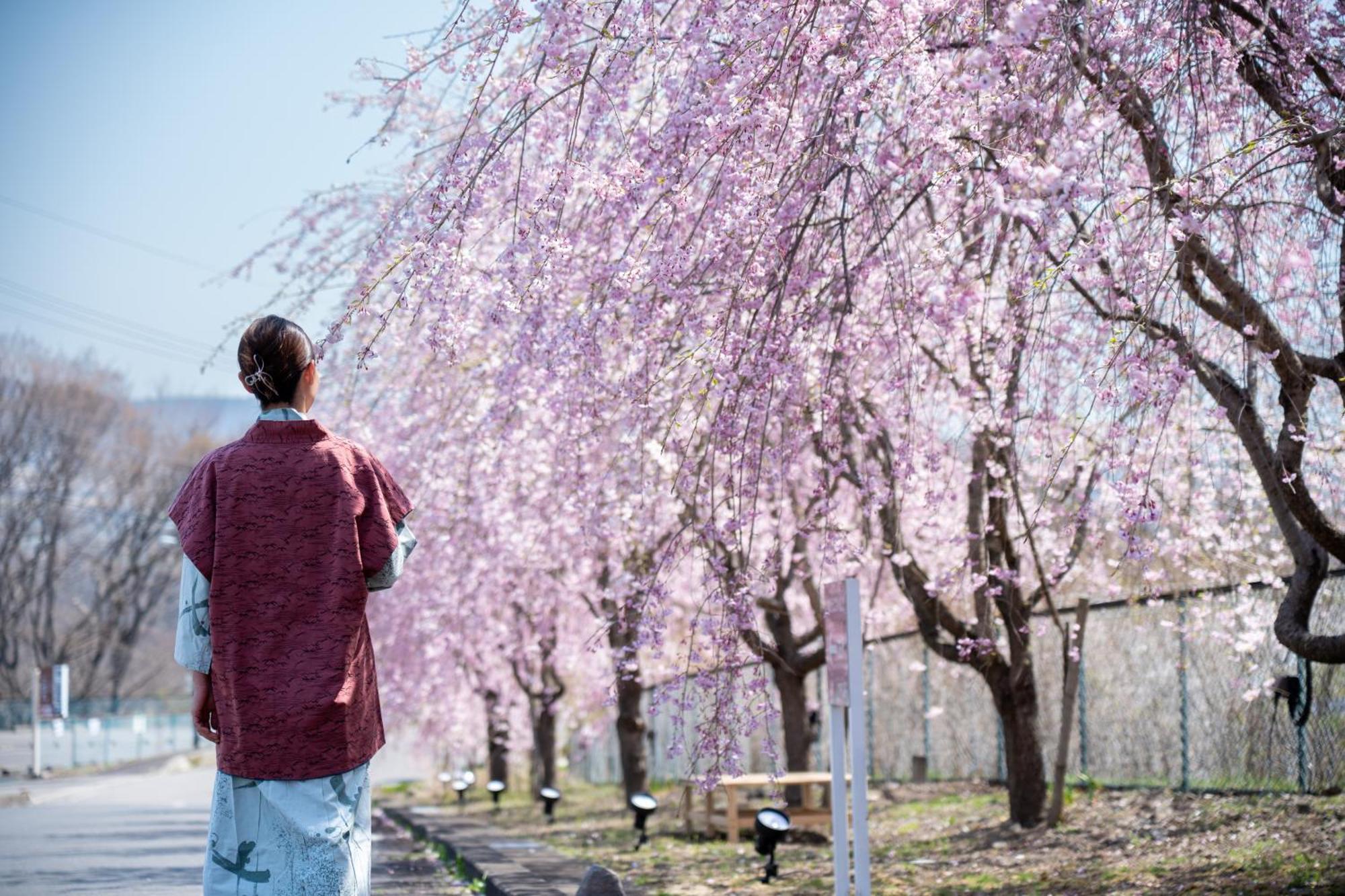 Nunohiki Onsen Komoro Exteriér fotografie